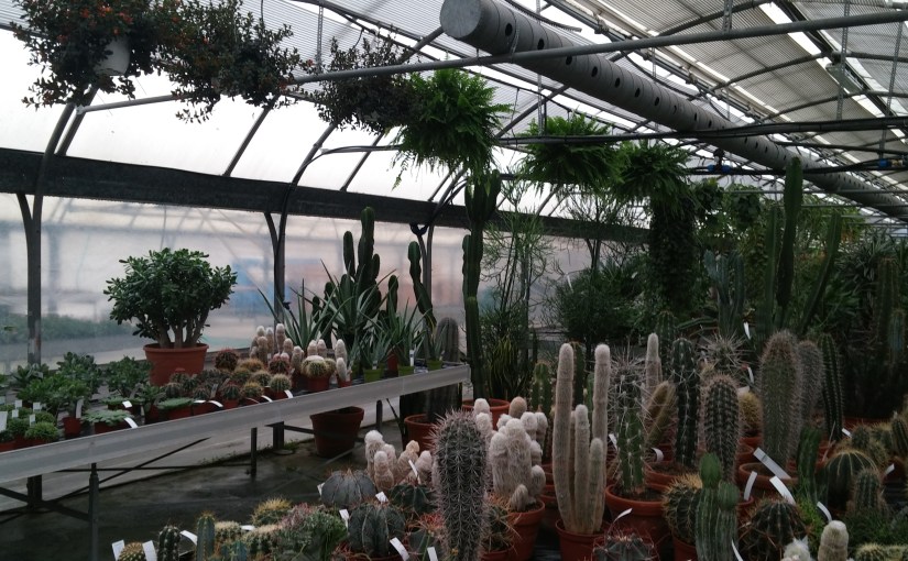 Lexington, my reluctant Kentucky&nbsp;home