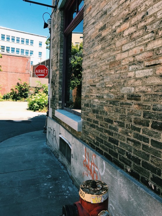 Processed with VSCO with c1 preset