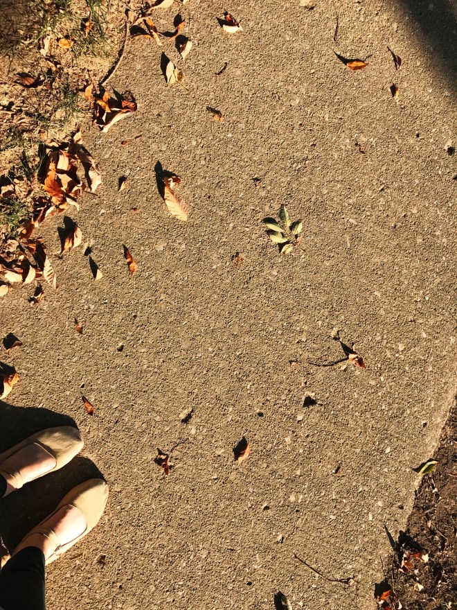 Last Import - 1 of 11