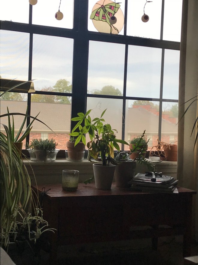 Last Import - 11 of 11