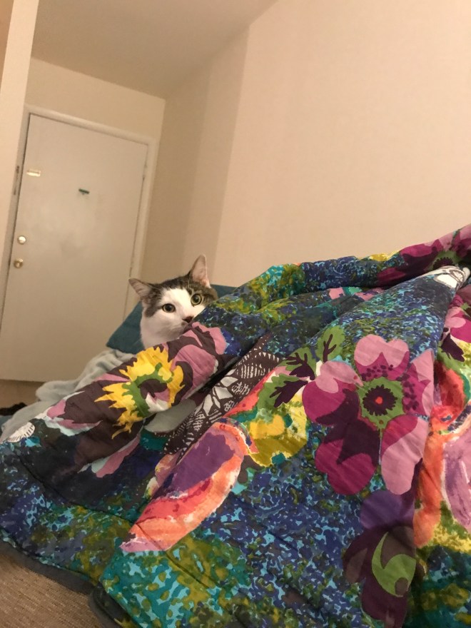 Last Import - 3 of 11