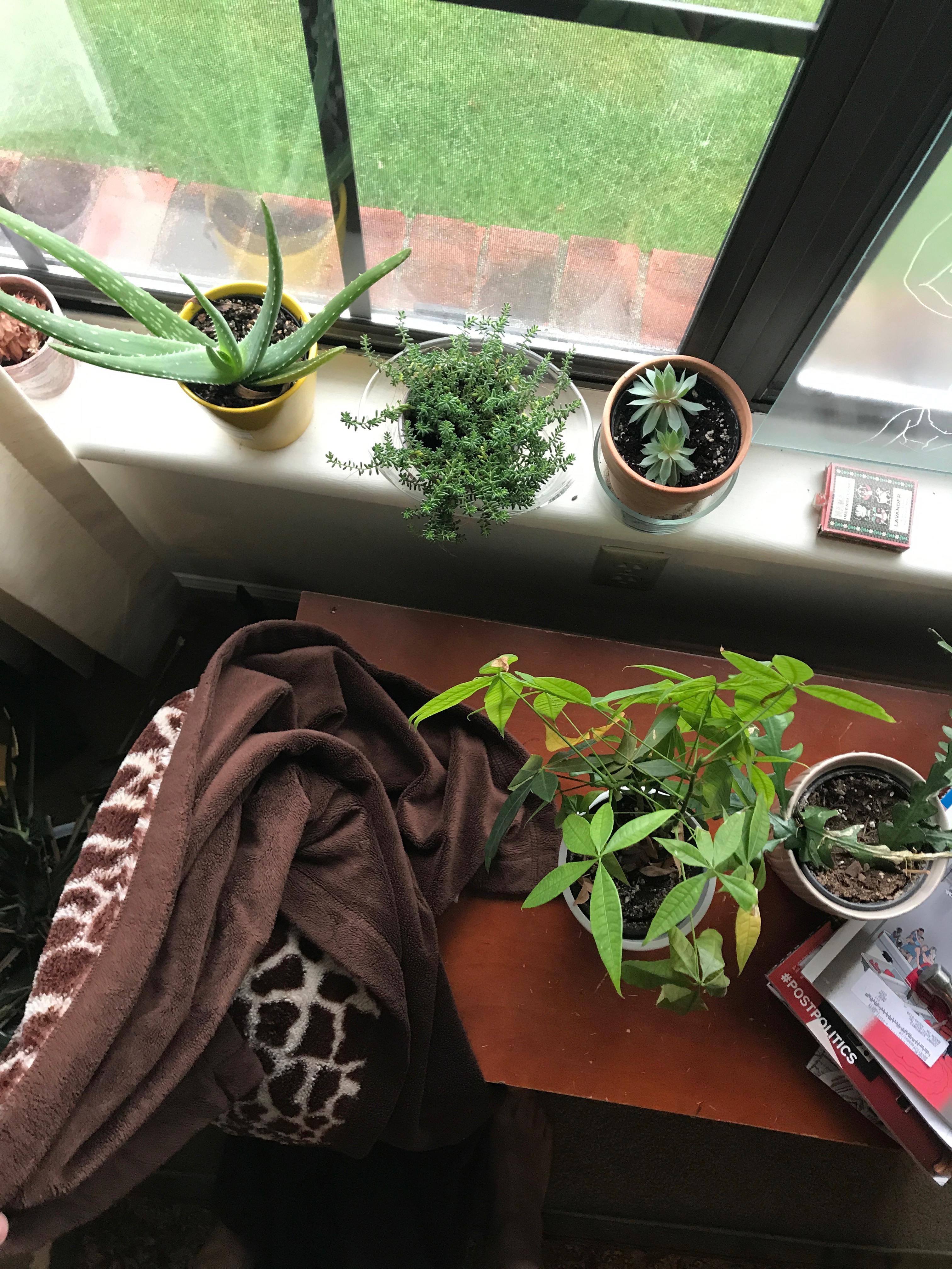 Last Import - 5 of 11