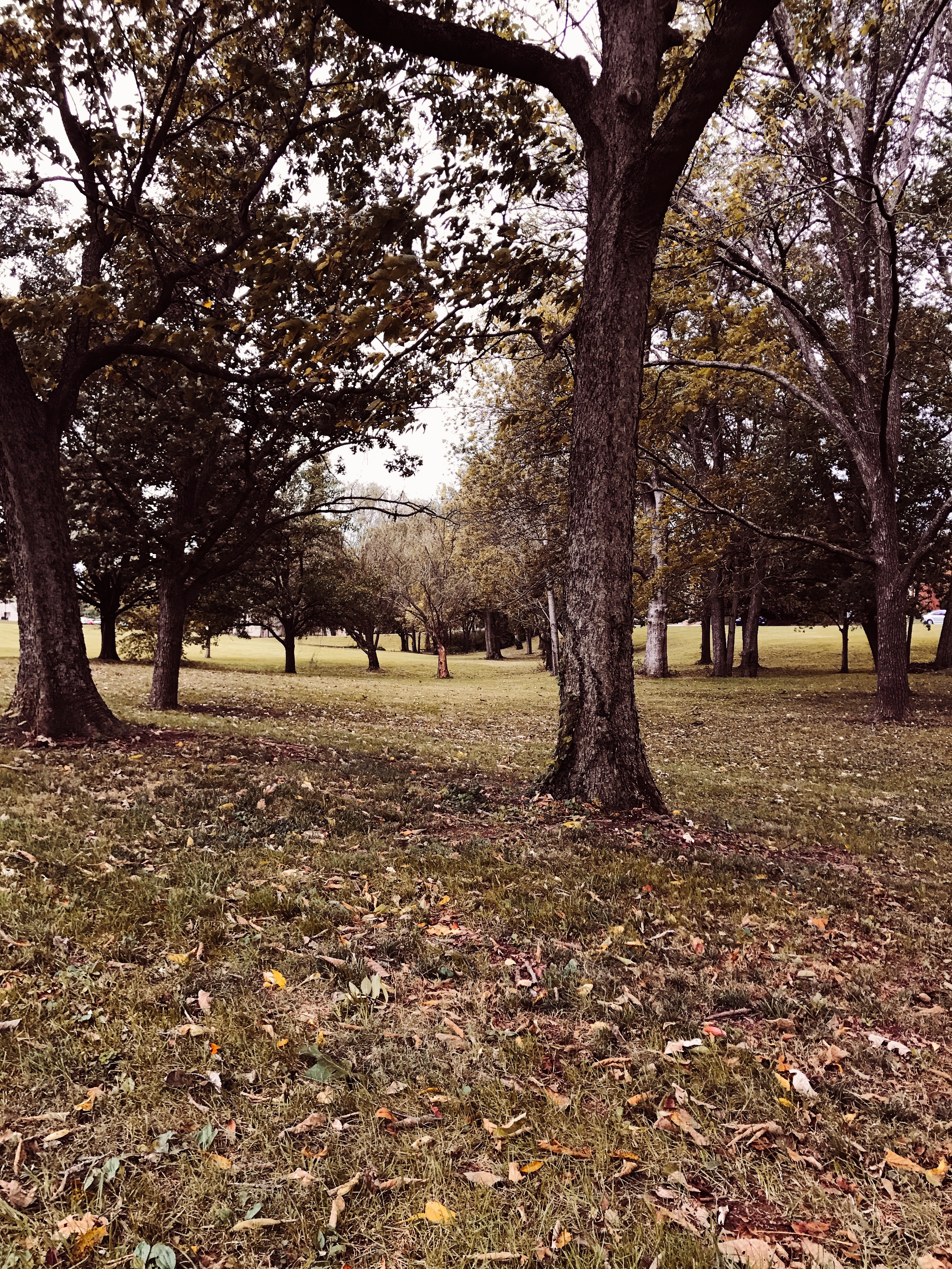 Last Import - 7 of 11